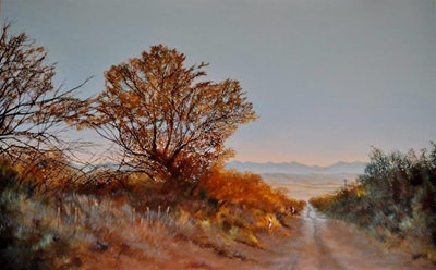 Essence of the Karoo